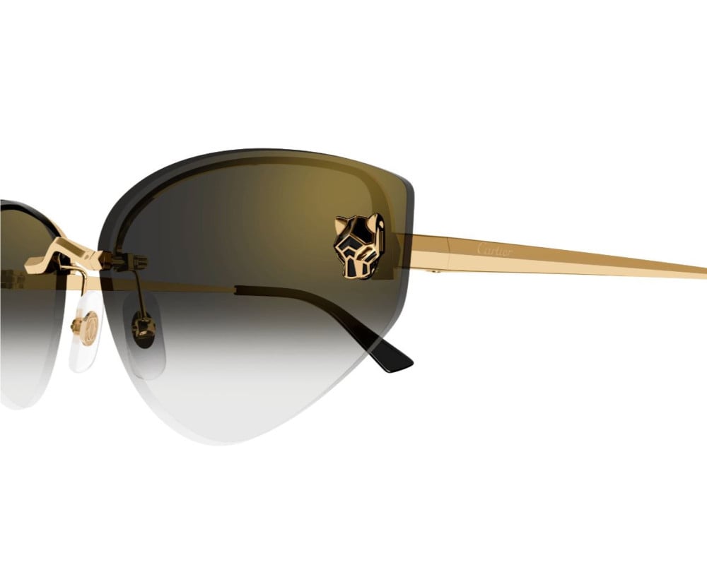 Cartier CT0431S