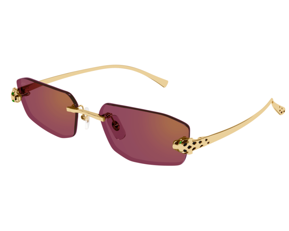 Cartier CT0474S