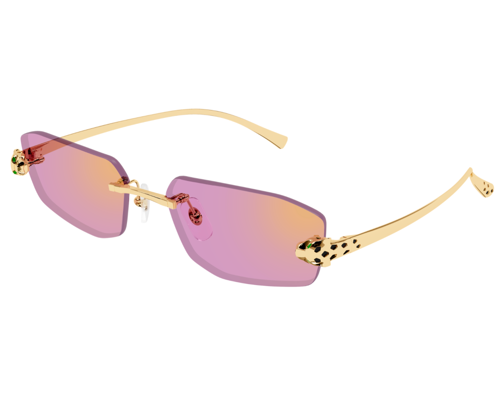 Cartier CT0474S