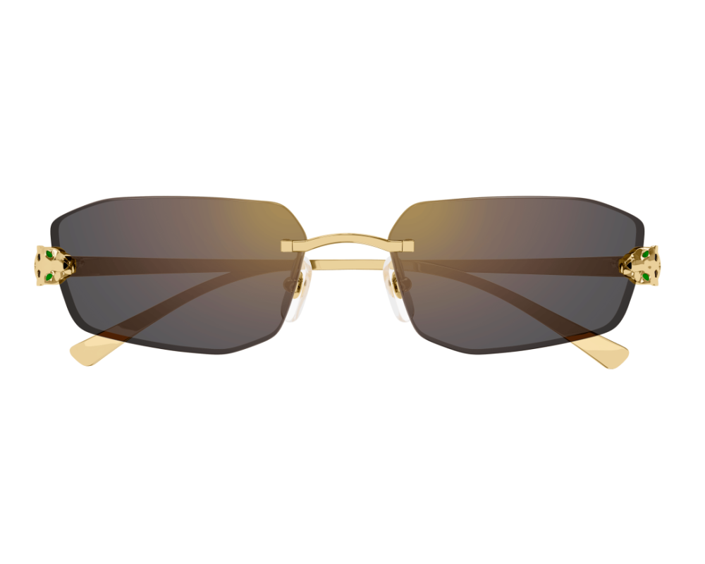 Cartier CT0474S