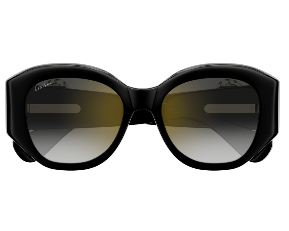 Cartier CT0502S