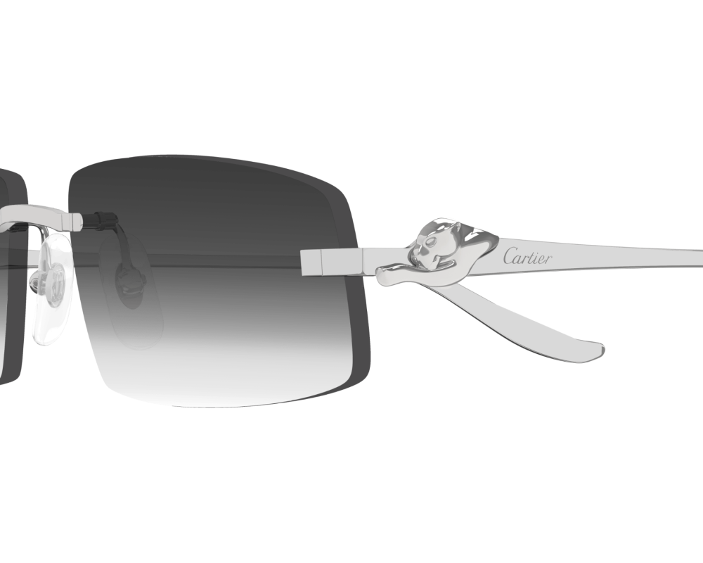 Cartier CT0505S Argent