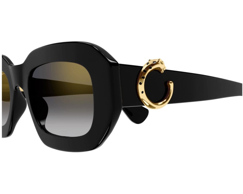 Cartier CT0546S