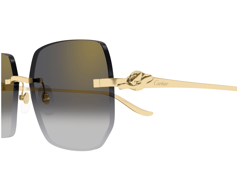 Cartier CT0549S