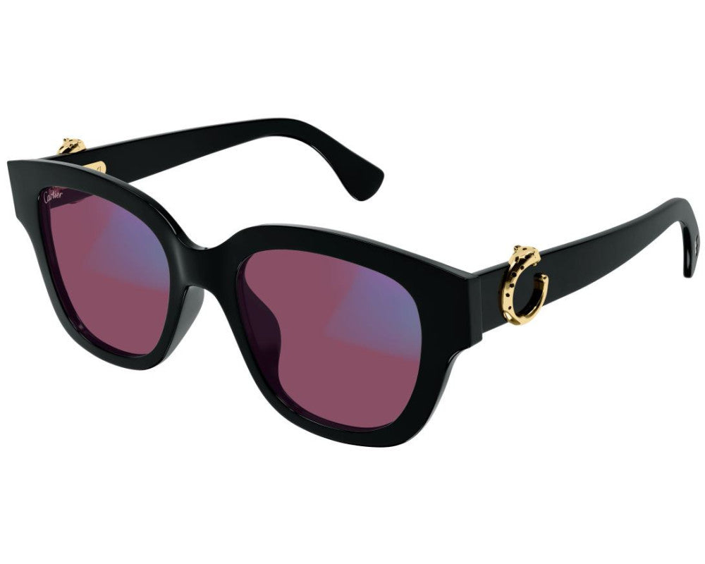 Cartier CT0566S