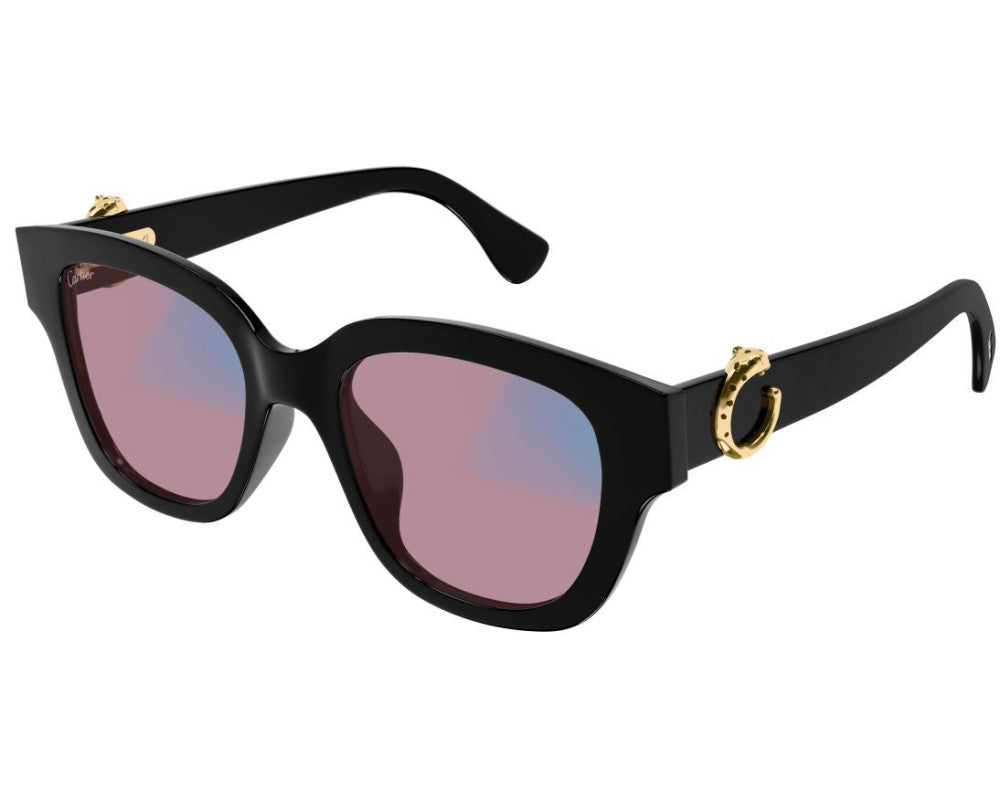 Cartier CT0566S
