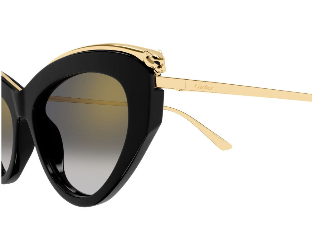 Cartier CT0596S Noir