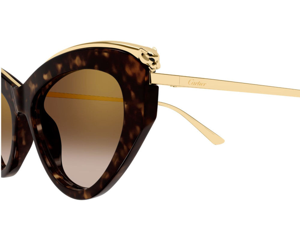 Cartier CT0596S Ecaille