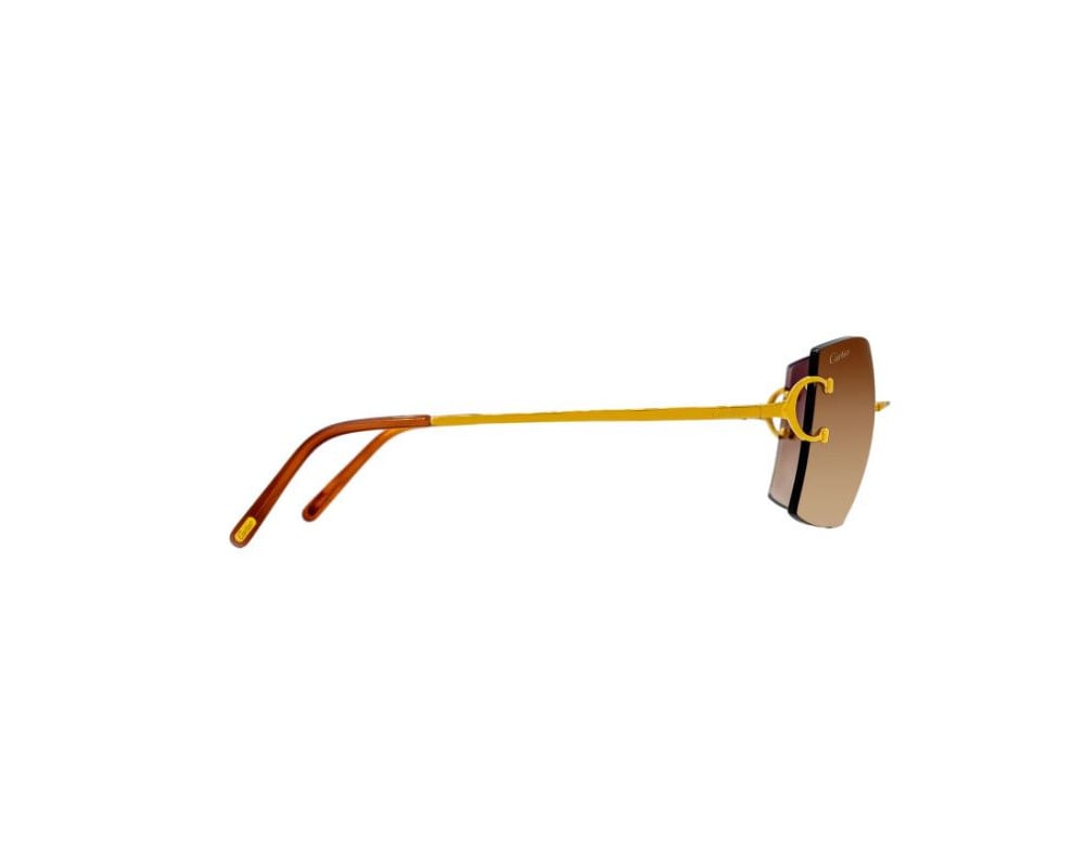 Cartier CT0009RS