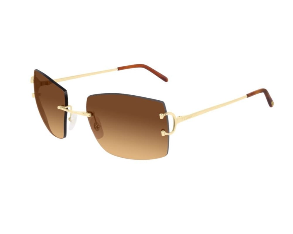 Cartier CT0009RS