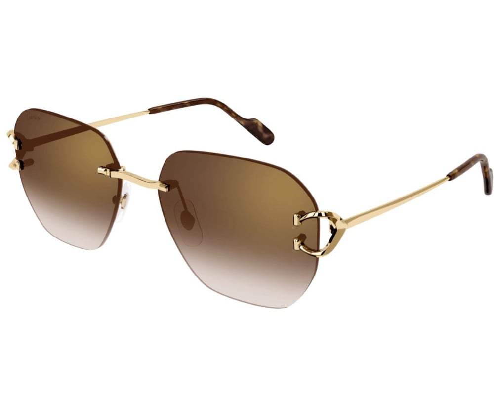 Cartier CT0394S