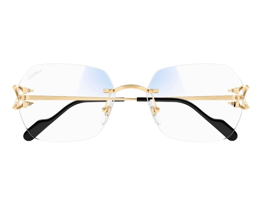 Cartier CT0416S