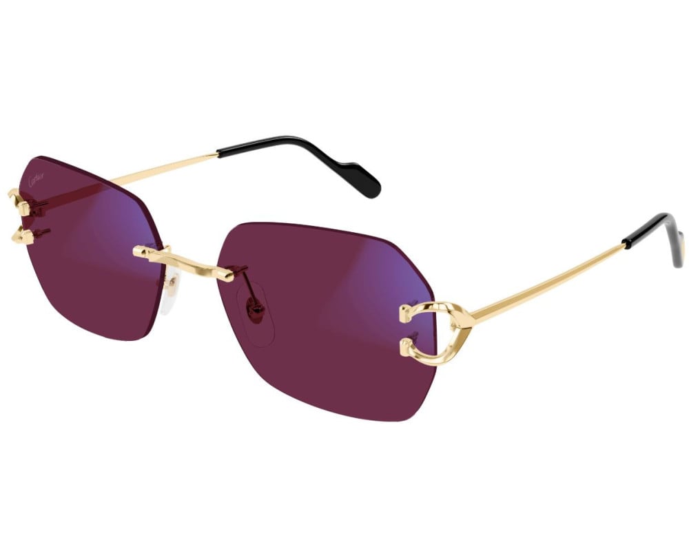Cartier CT0416S