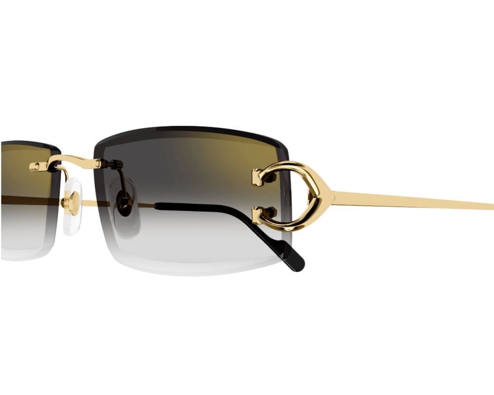 Cartier CT0465S