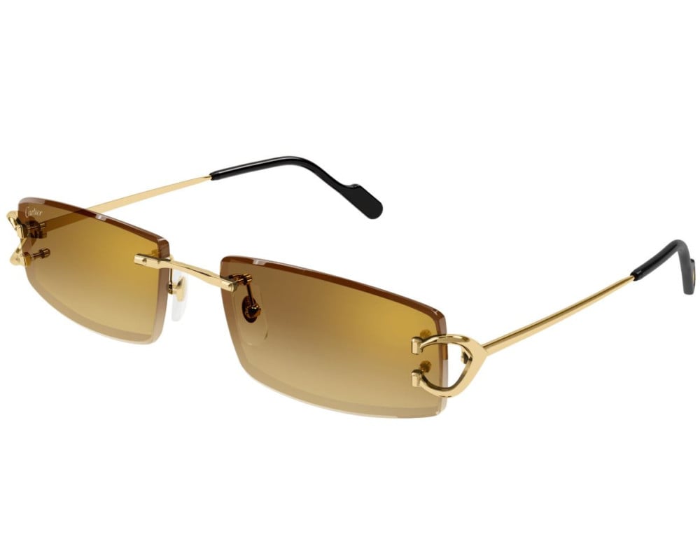 Cartier CT0465S