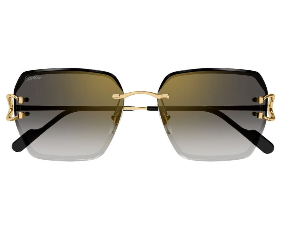 Cartier CT0466S