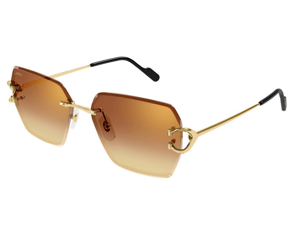 Cartier CT0466S