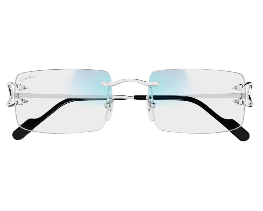 Cartier CT0488S