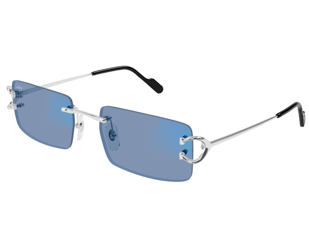 Cartier CT0488S