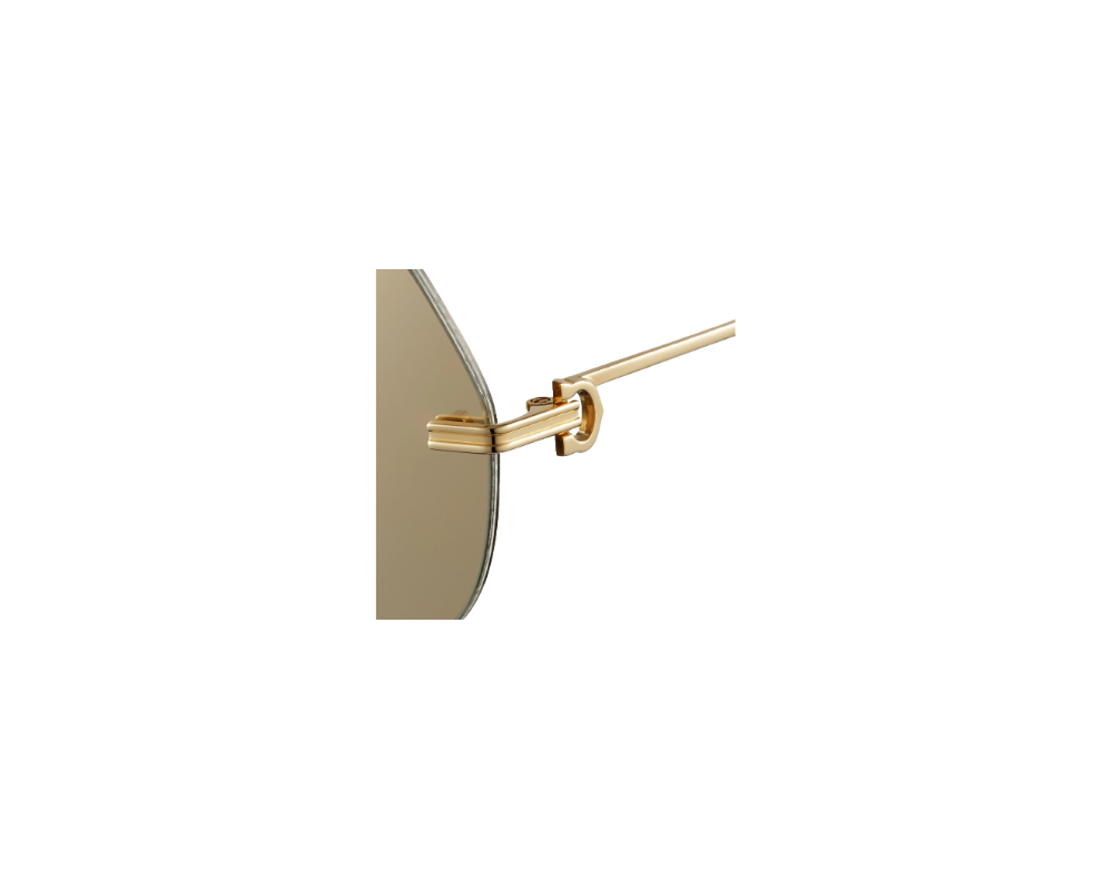 Cartier CT0170S