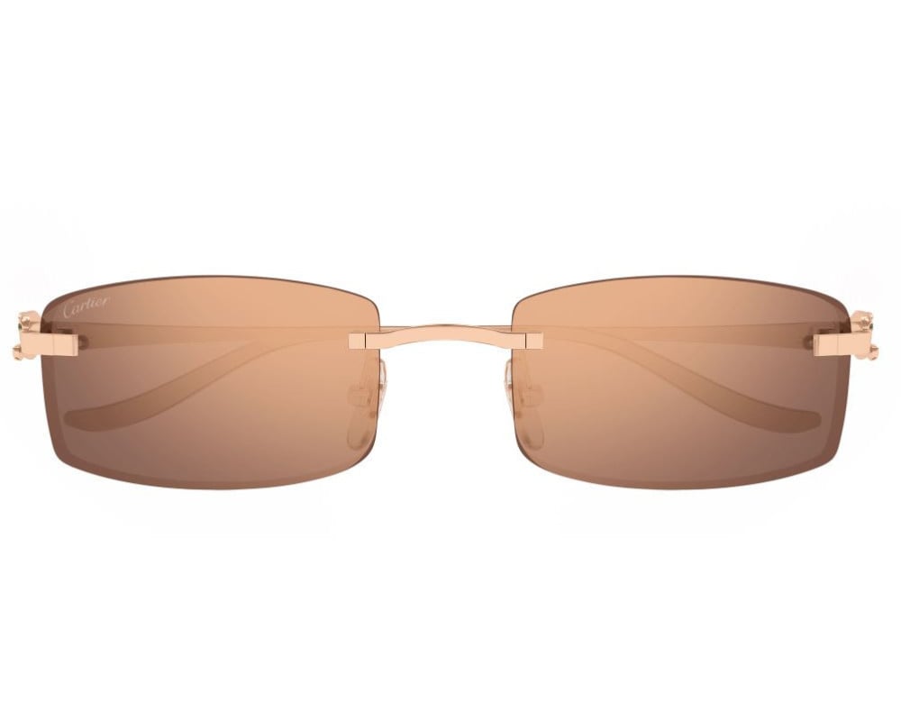 Cartier CT0552S