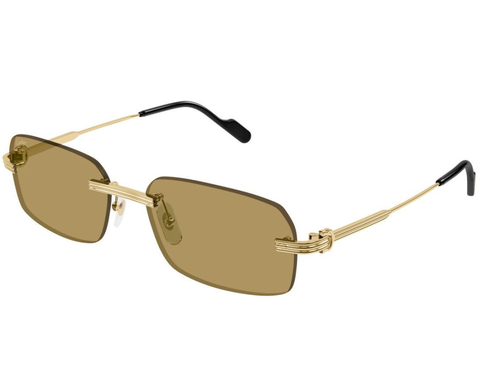 Cartier CT0271S