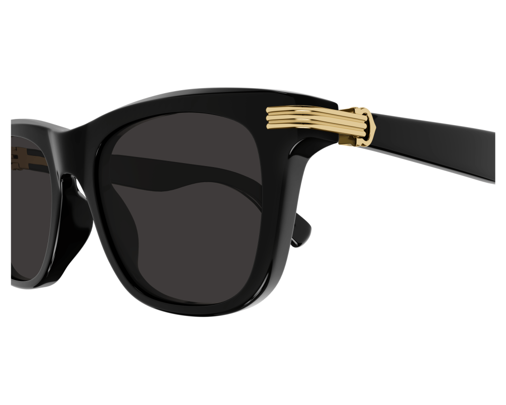 Cartier CT0396S