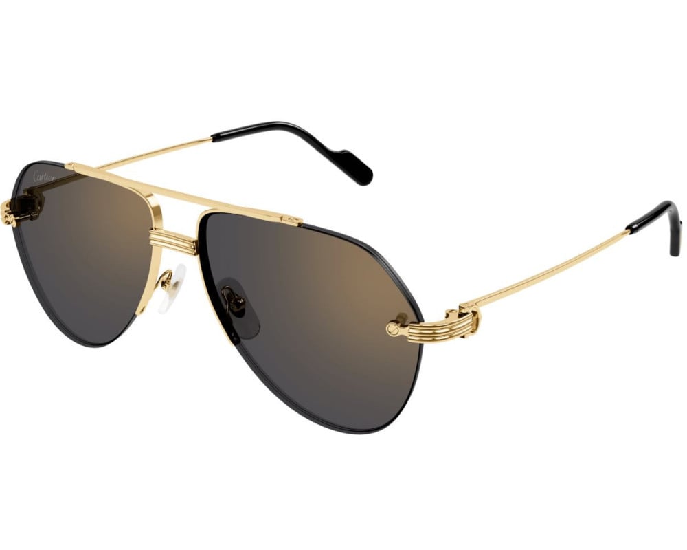 Cartier CT0427S