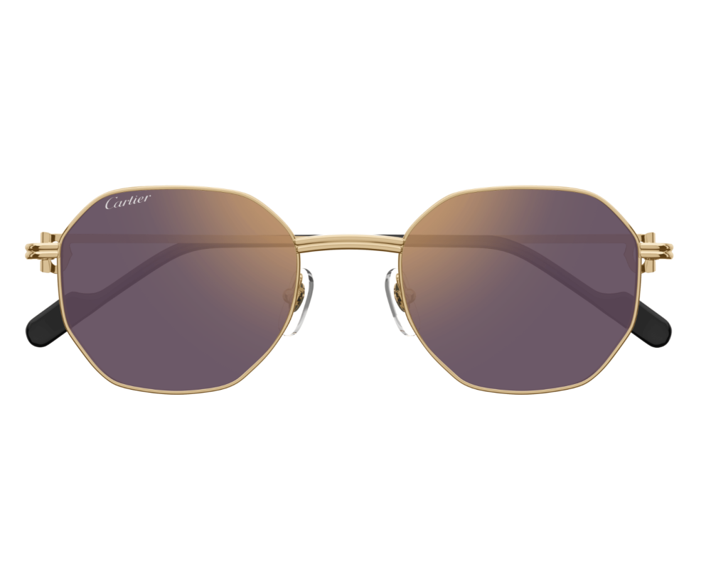Cartier CT0500S