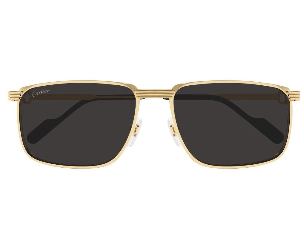 Cartier CT0534S