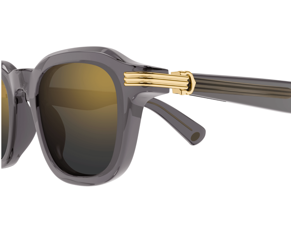 Cartier CT0536S Gris
