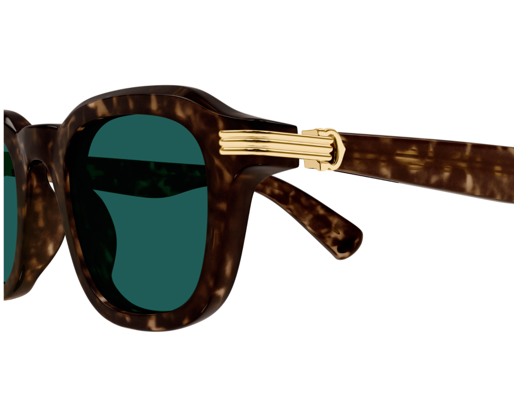 Cartier CT0536S Ecaille