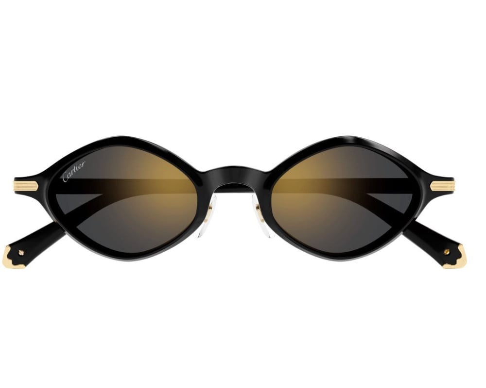 Cartier CT0540S