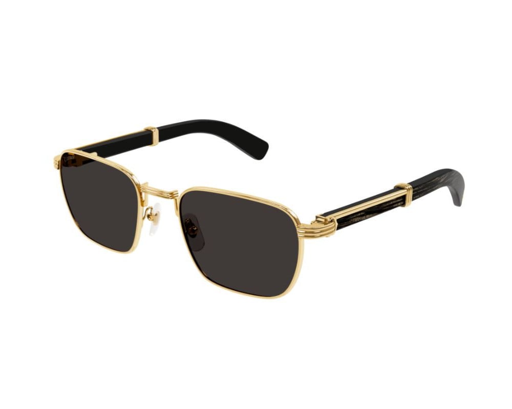 Cartier CT0363S
