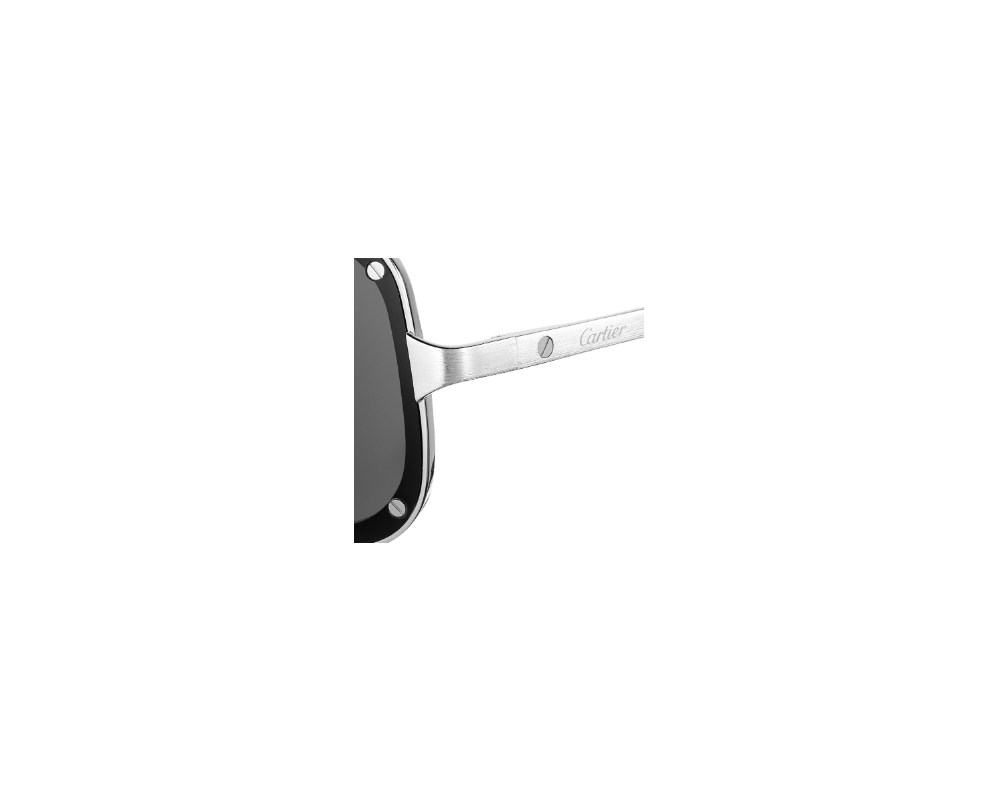 Cartier CT0194S