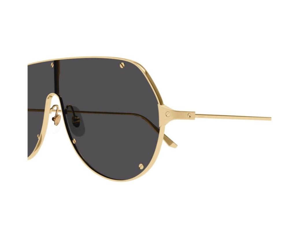 Cartier CT0324S