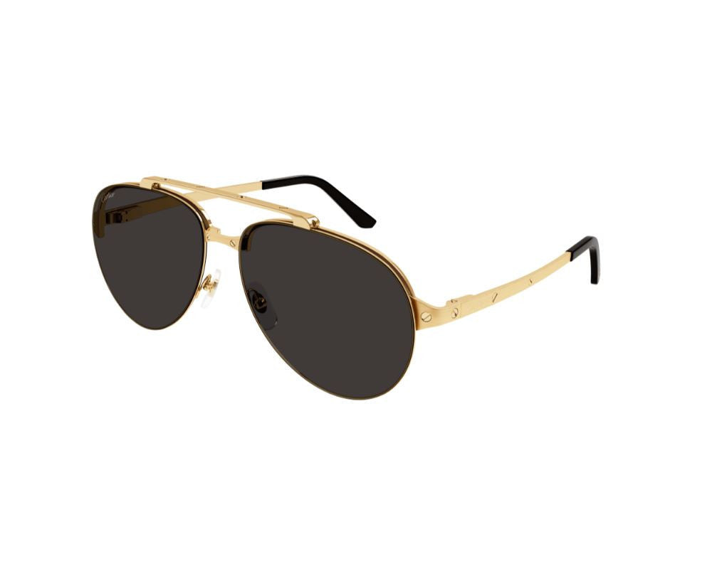 Cartier CT0354S