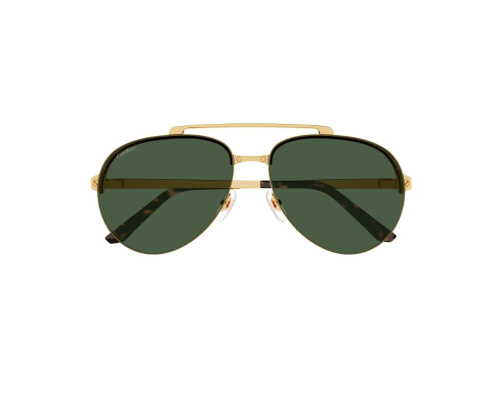 Cartier CT0354S