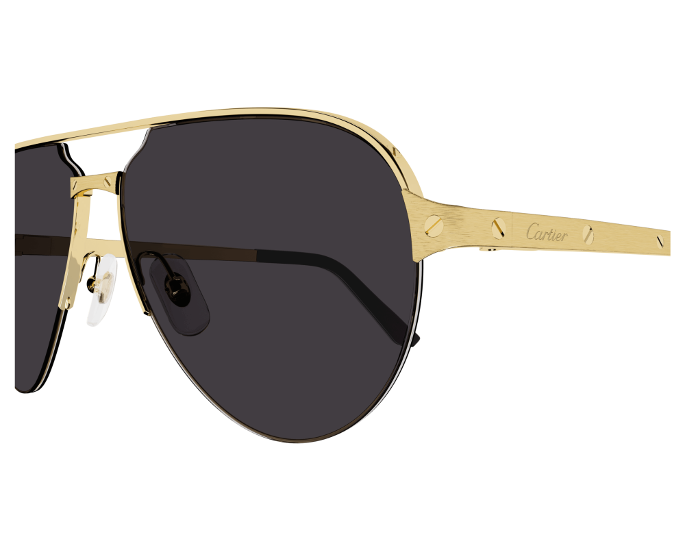 Cartier CT0386S