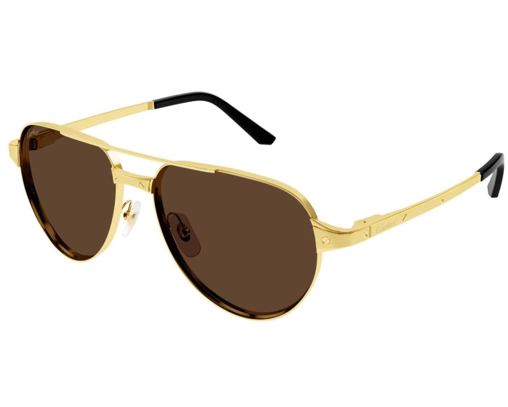 Cartier CT0425S