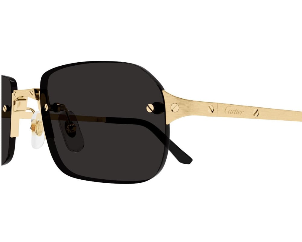Cartier CT0460S