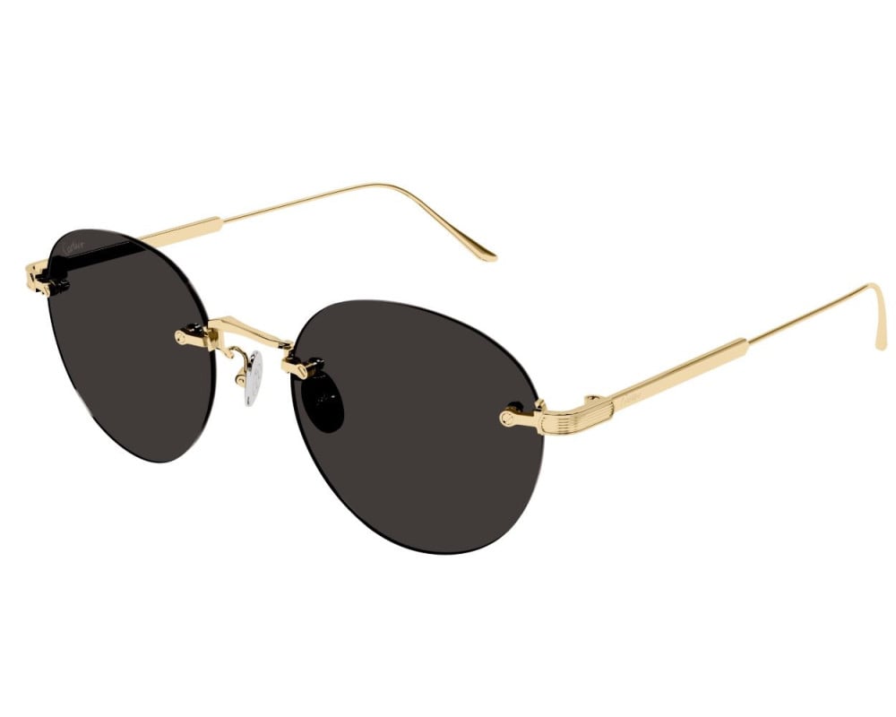 Cartier CT0393S