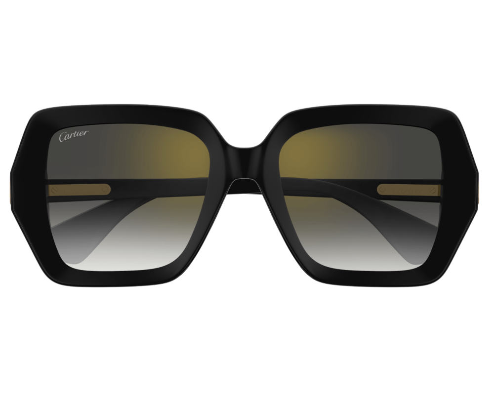 Cartier CT0507S