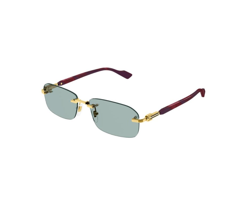 Gucci GG1221S