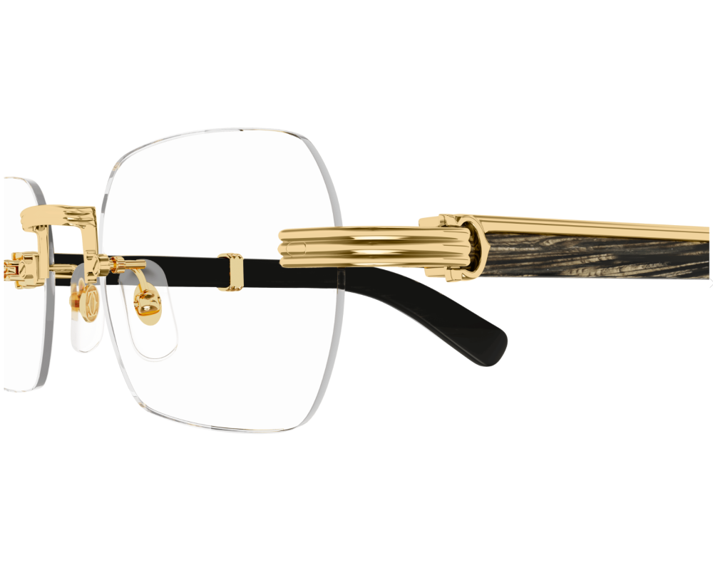 Cartier CT0377O