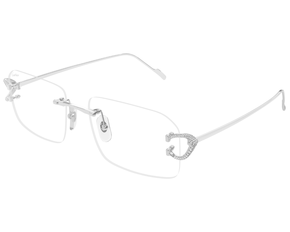 Cartier CT0489S