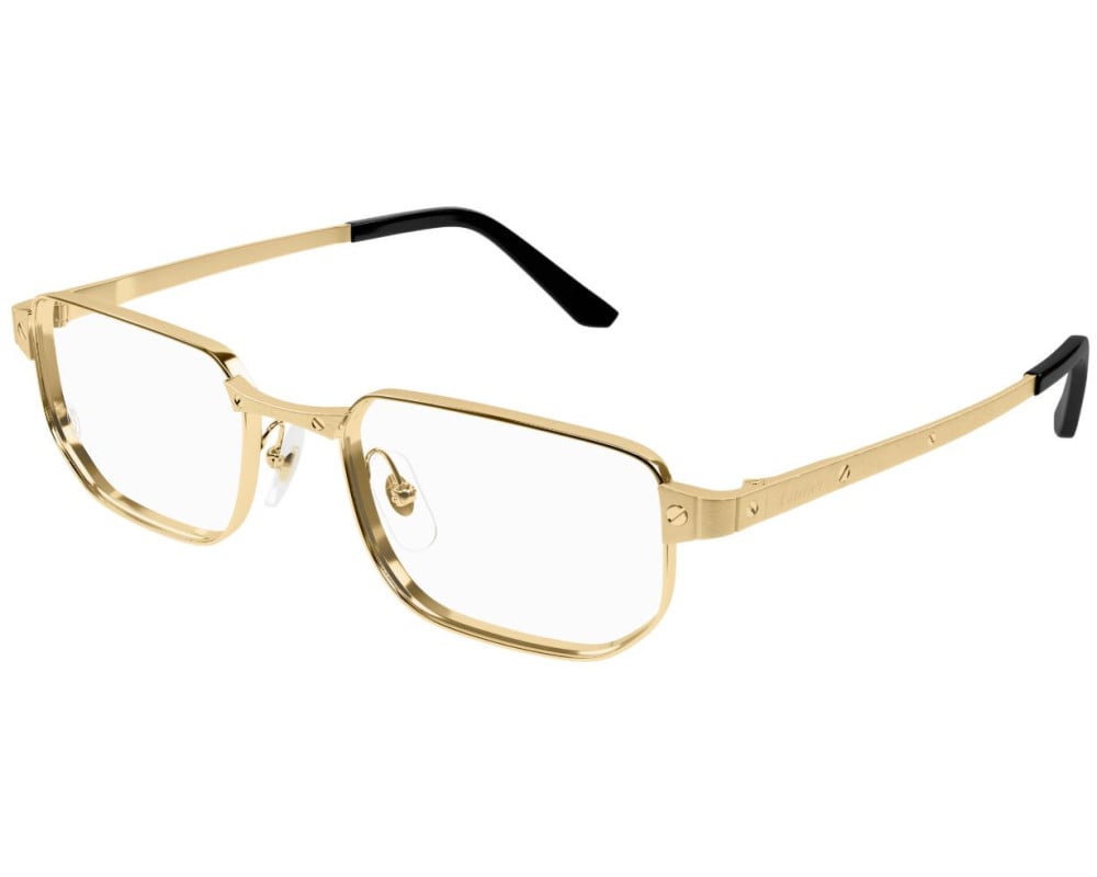 Cartier CT0481O