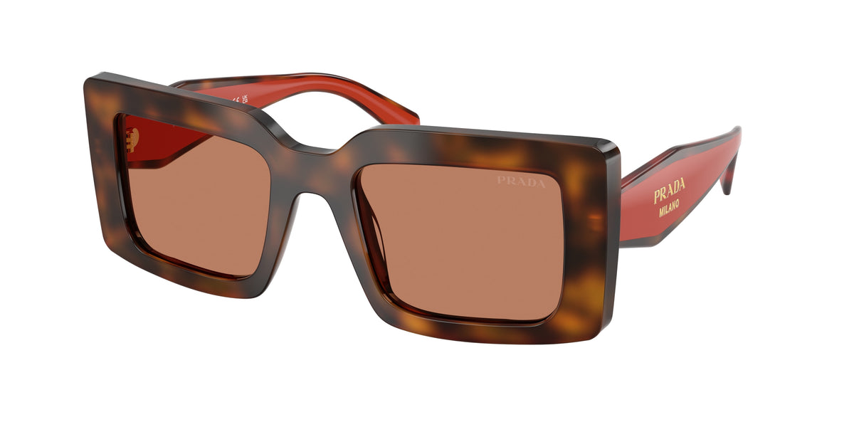 Prada PR D01S – Écaille genévrier / Cotto 01K90Q