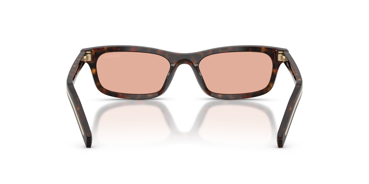 Prada PR D05S – Écaille de tortue racine – Vue arrière