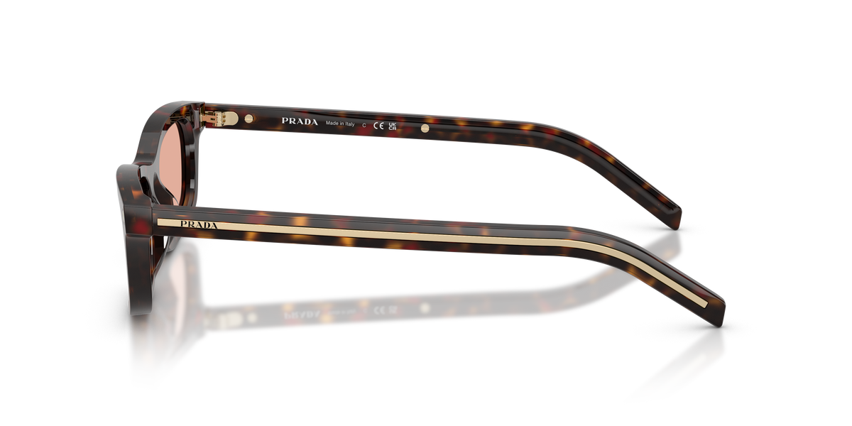 Prada PR D05S – Écaille de tortue racine – Vue de profil